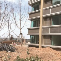 晓港名城一业主拆了栅栏还毁绿化 物业不作为引不满