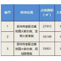 胶州李哥庄镇3宗住宅地块打包上市 总价4.46亿起拍