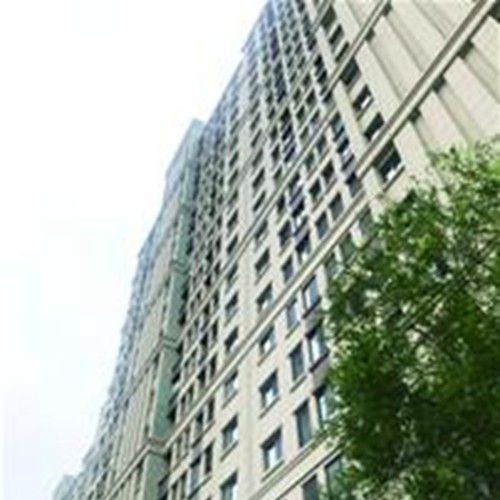 绿地阅海府邸多栋楼座外墙被砸 维修工程仍无进展