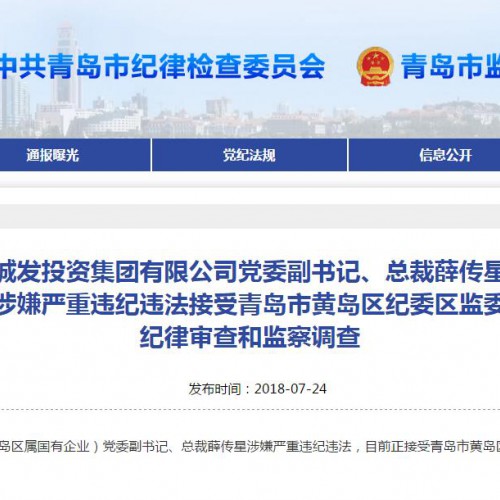 城发投资集团总裁薛传星涉嫌严重违纪违法接受调查