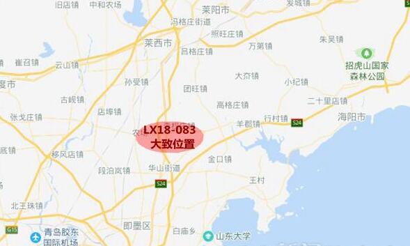莱西市姜山镇2020年gdp_莱西市姜山镇李家泊