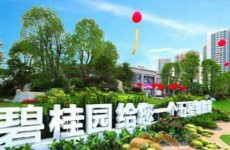 碧桂园地产发行30亿公司债券 拟用于偿还应付款园