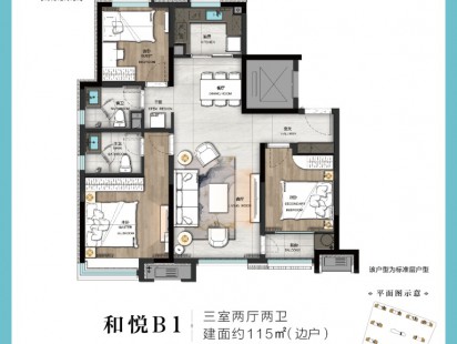 中欧国际城和悦B1户型 