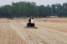 多地出台宅基地改革政策 盘活闲置宅基地租期不超过20年