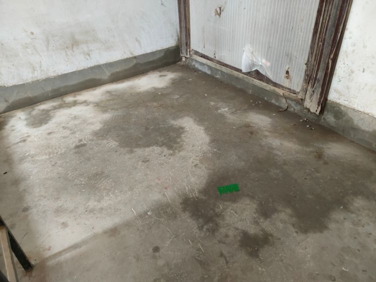 楼道和地面漏水(受访者供图)