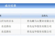 藏马山三宗小地块拍卖 住宅地块拟建安置房