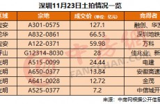 深圳8宗居住用地集中出让上演土地盛宴 28家房企激战