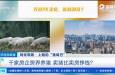 超千家房企转行养猪 卖猪比卖房挣钱吗？
