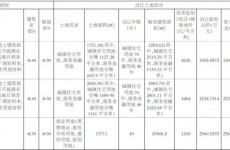 西海岸有3宗新地上市 住宅地块都将配建租赁型人才住房