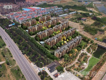 清华凤凰园鸟瞰图