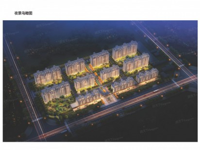 天聚华府鸟瞰图 