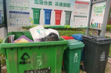 海口倚能美林湾小区擅自更换物业 业主不知情