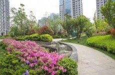 逸景湾小区绿化将会现场查验，改建网球场拟重新征求意见