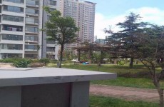 薛家岛怡情海岸将通过业主表决决定物业去留