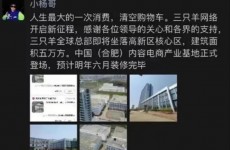 合肥嘉东光学房产被带货网红1.03亿买下引热议