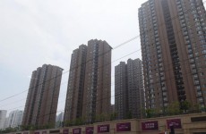 青岛这50个小区被评为“美好家园”，西海岸数量夺冠