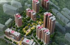 市南隆德花园开始物业招标