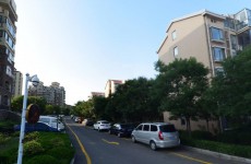 城阳山水嘉园绿化整改任重道远