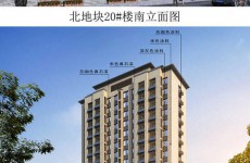 王台旧村改造项目三期规划披露