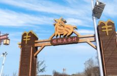 塔桥全羊形象要提升，六汪镇塔桥新村拟整治环境
