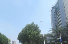 城阳区城市品质大提升，将建设公园绿地，林荫廊道